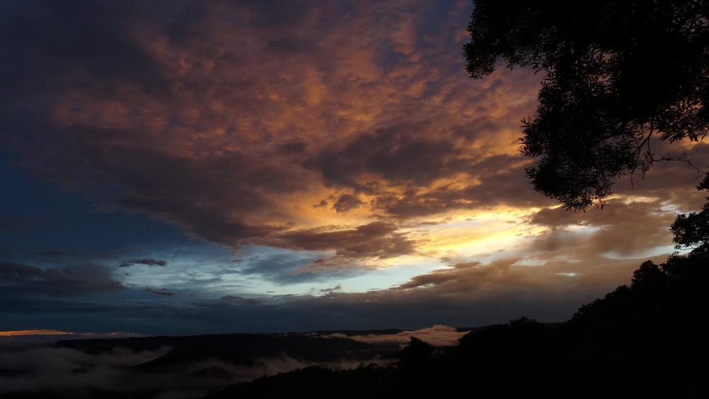 Maleny Luxury Cottages Buitenkant foto