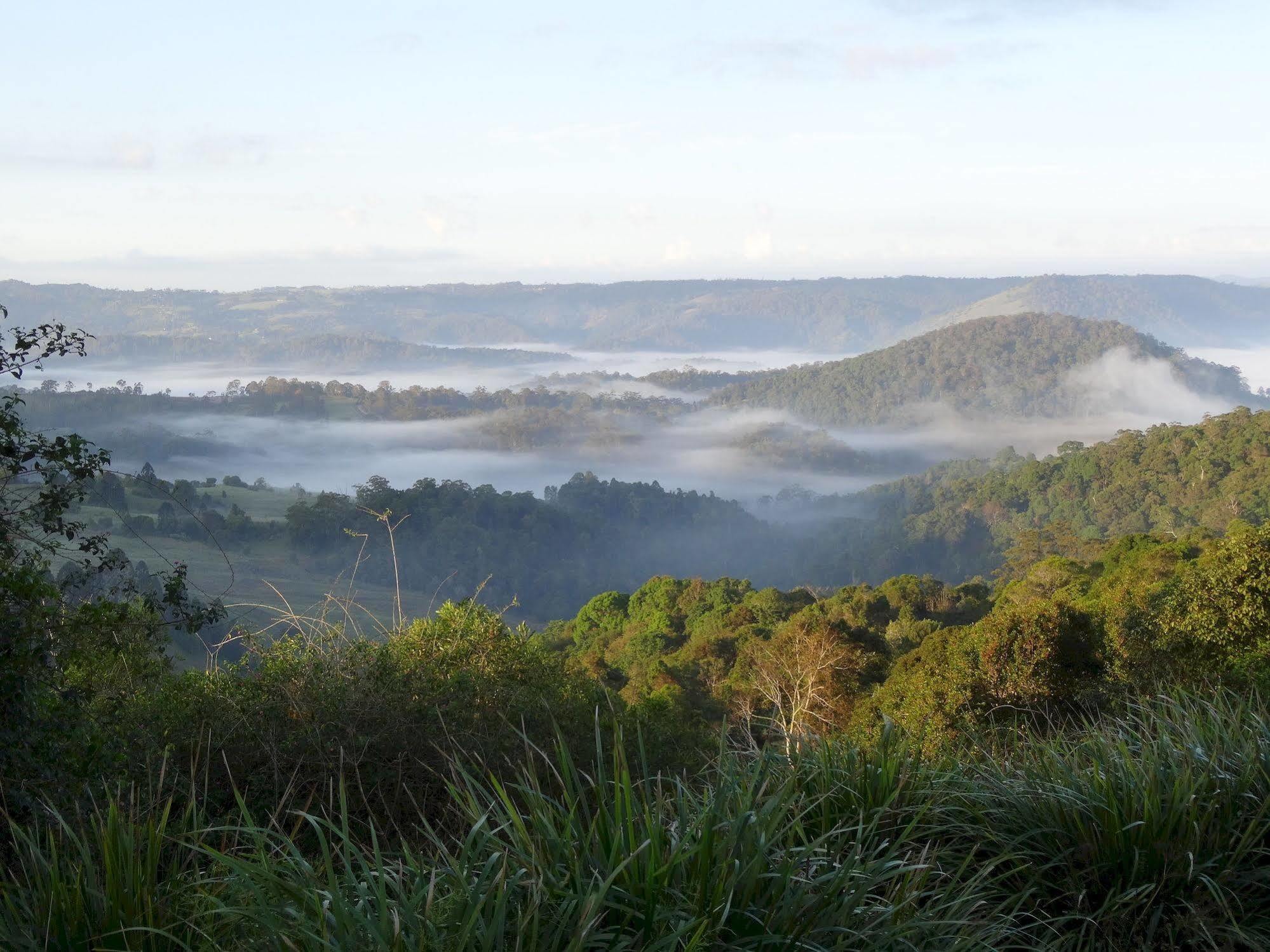 Maleny Luxury Cottages Buitenkant foto