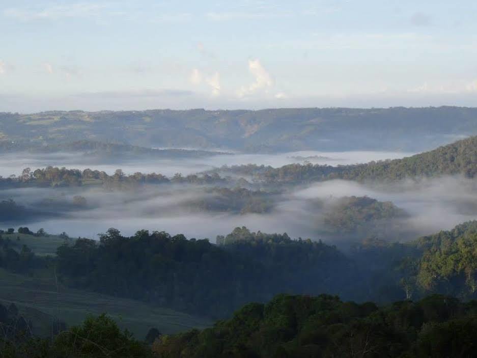 Maleny Luxury Cottages Buitenkant foto